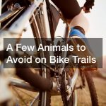 A Few Animals to Avoid on Bike Trails